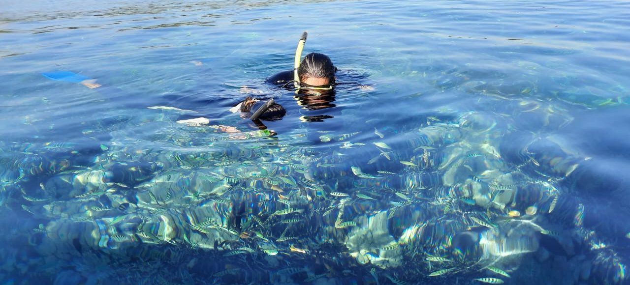 Nusa Penida Snorkeling