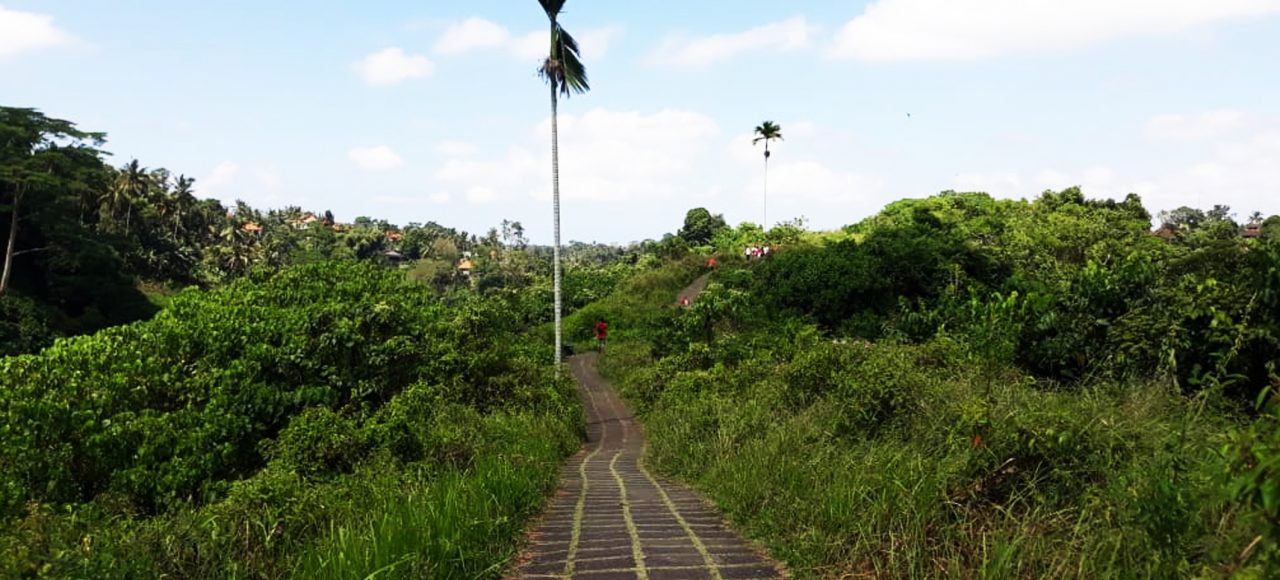 Bali Package Tour