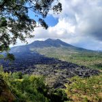 Paket Tour Bali