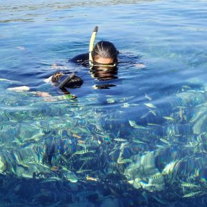 Nusa Penida Snorkeling