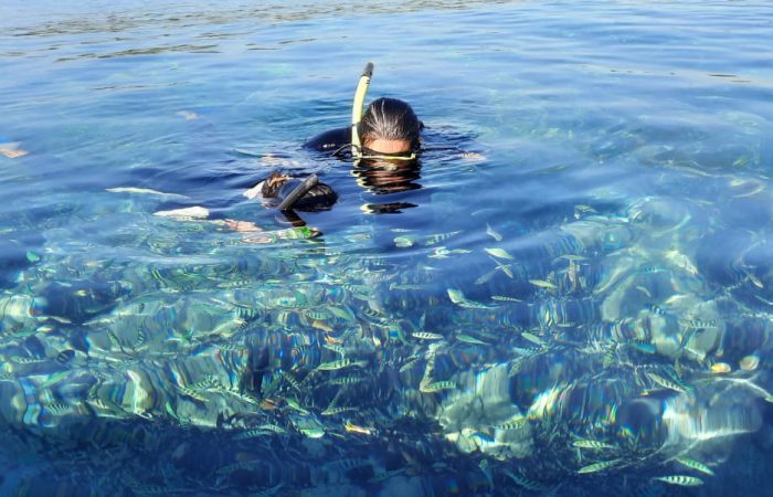 Nusa Penida Snorkeling
