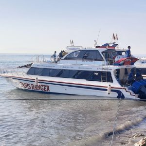 Tannis Fast Boat