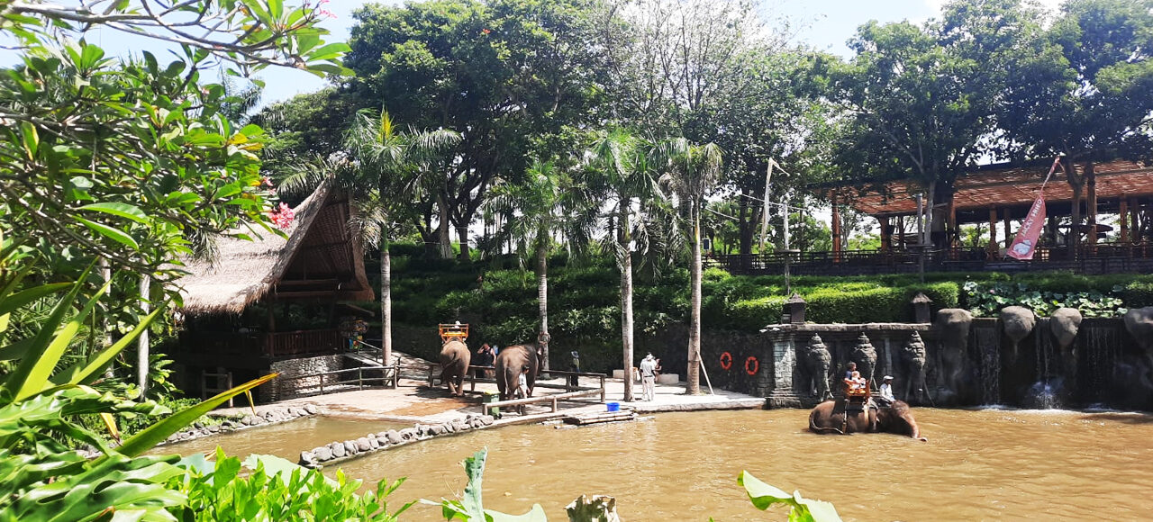 Bali attraction tour