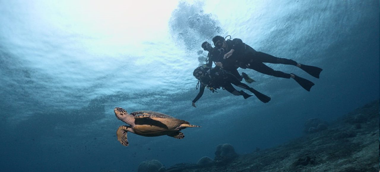 Nusa Penida Diving