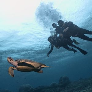 Nusa Penida Diving