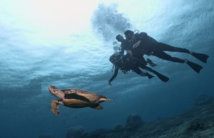 Nusa Penida Diving