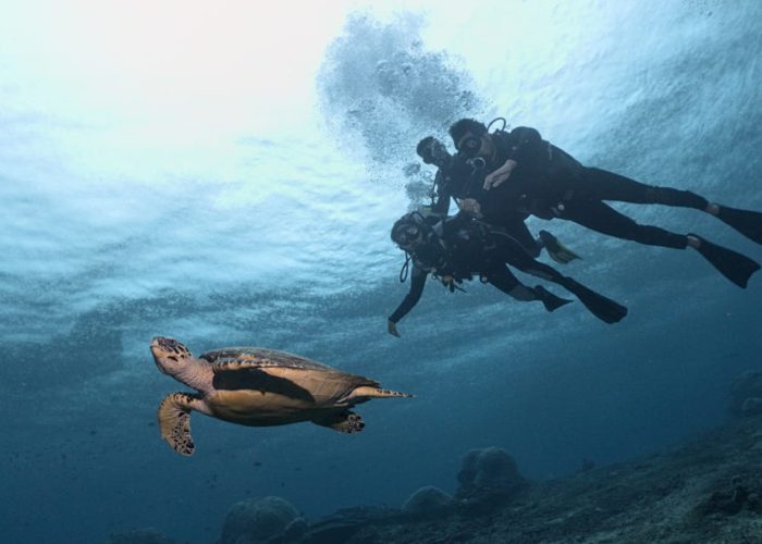 Nusa Penida Diving