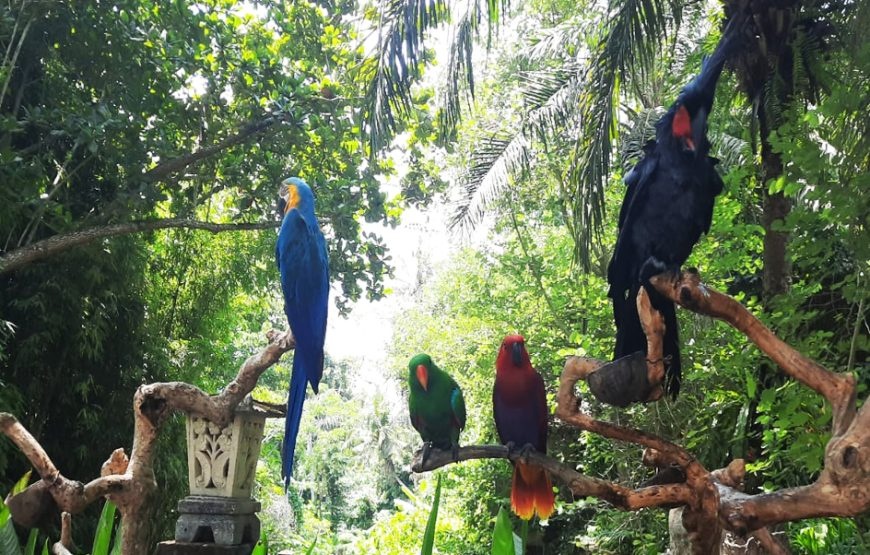 Bai  Zoo photo 4