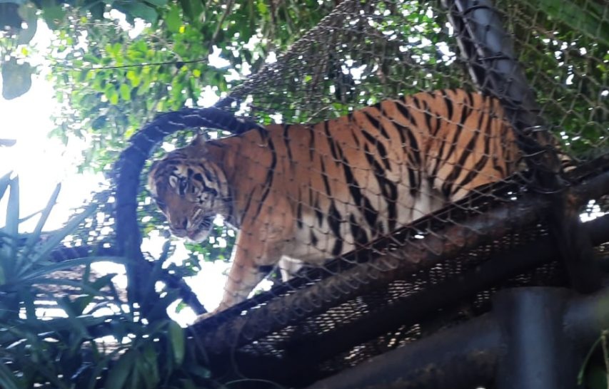 Bai  Zoo photo 5