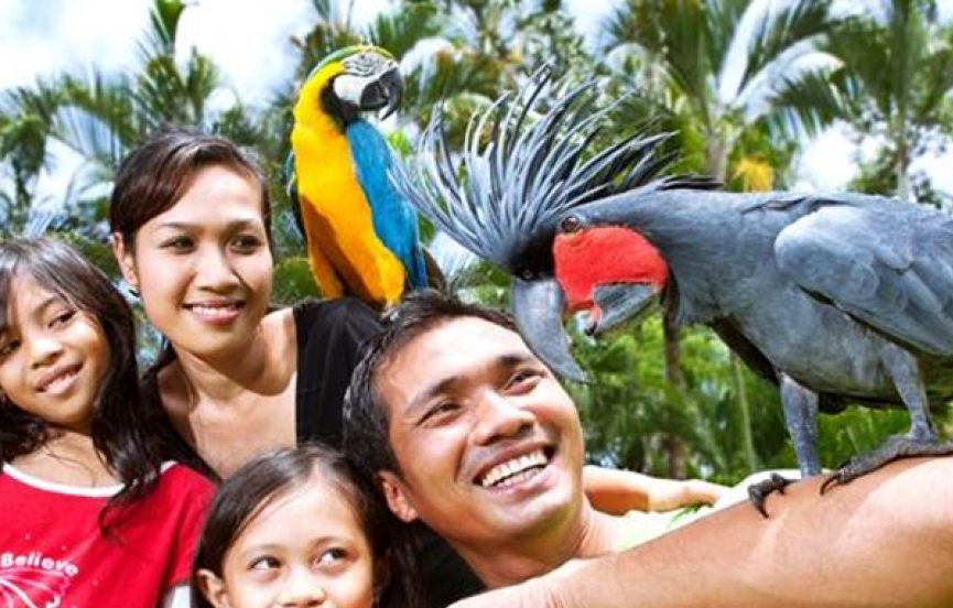 Bali Bird Park