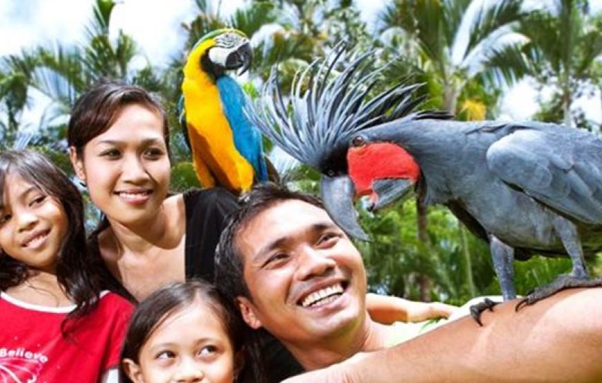 Bali Bird Park photo 2