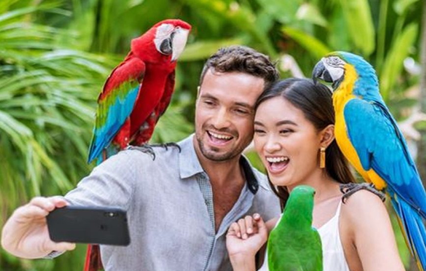 Bali Bird Park photo 3