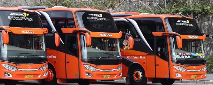 Bus photo 2