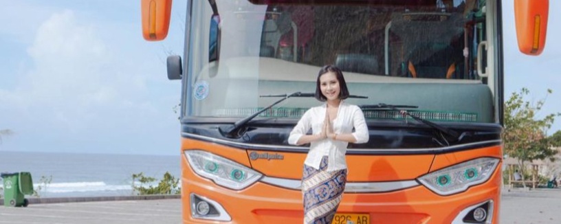 Bus photo 5