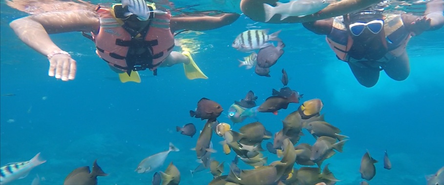 Nusa Penida Snorkel Trip photo 5