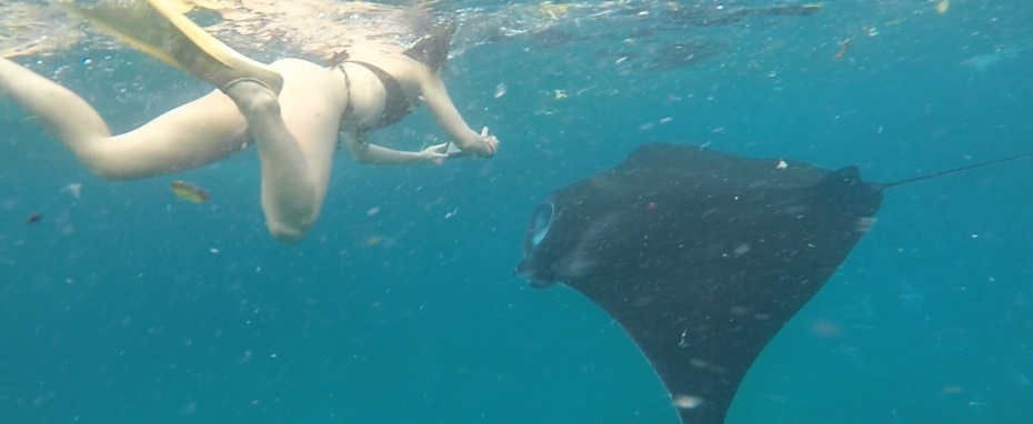Nusa Penida Snorkel Trip photo 2