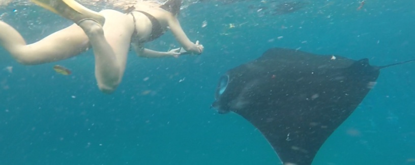 Nusa Penida Snorkel Trip