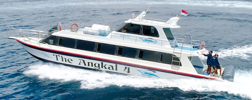 Angkal Fast Boat photo 2