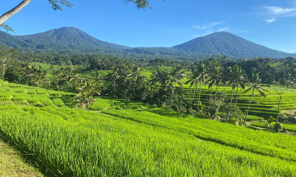 Find your Bali experience