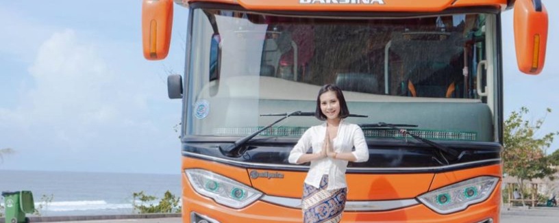Bus 35 Seats photo 3