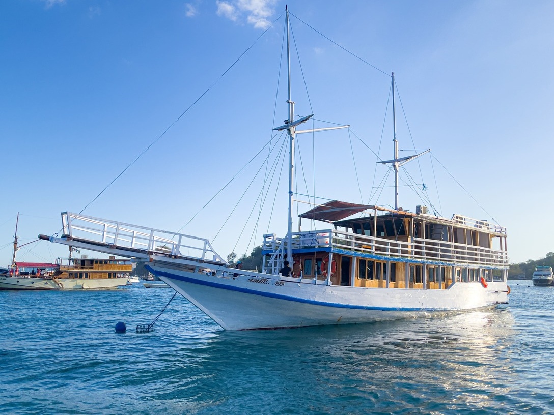 Komodo Open Trip 3D2N by Tectona Phinisi