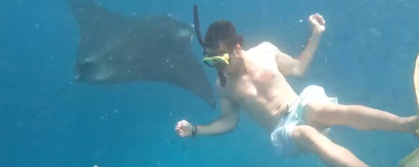 Nusa Penida Snorkelling Package Tour 2 Days 