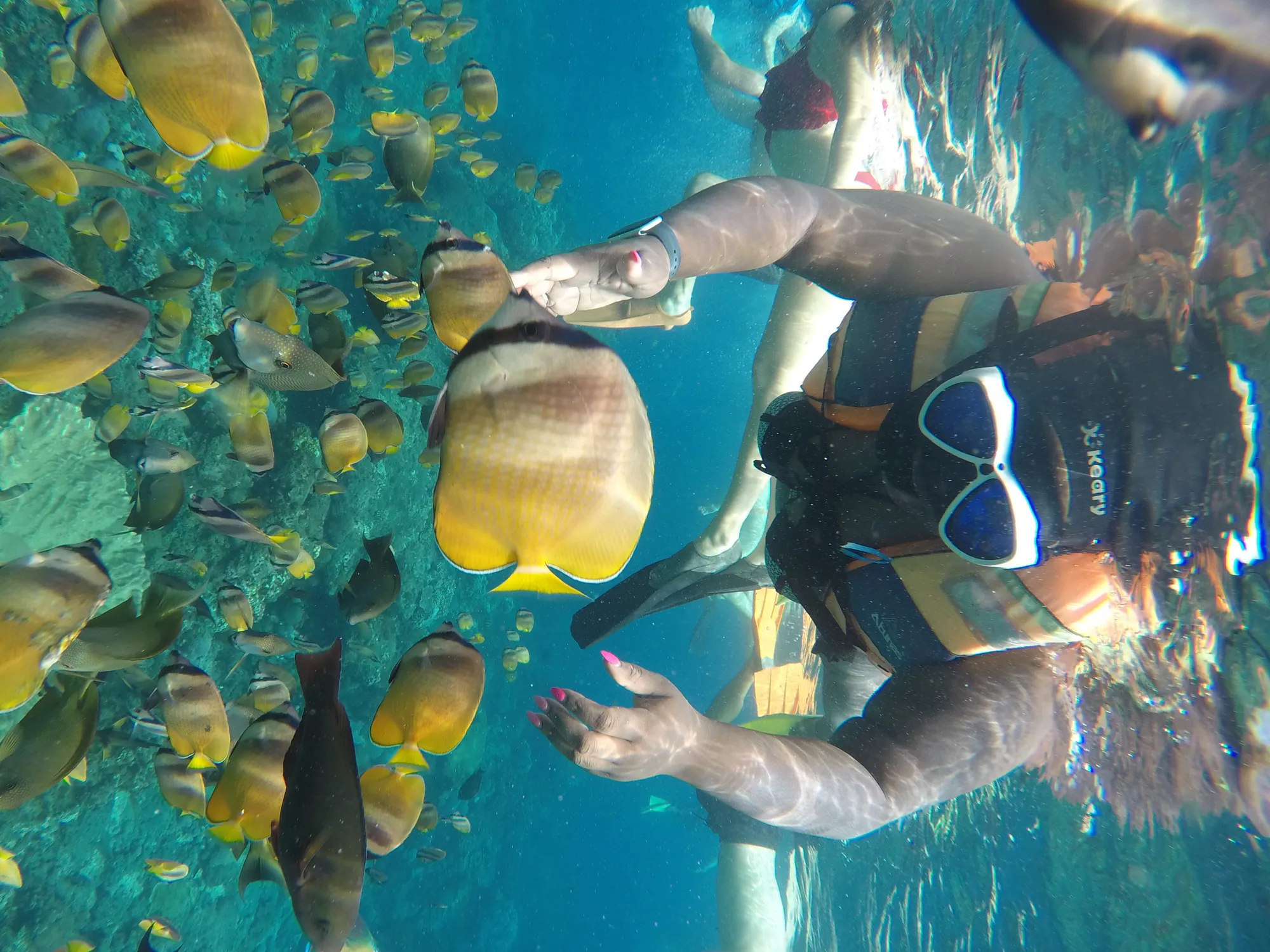 Nusa Penida Day Trip Snorkelling  photo 3
