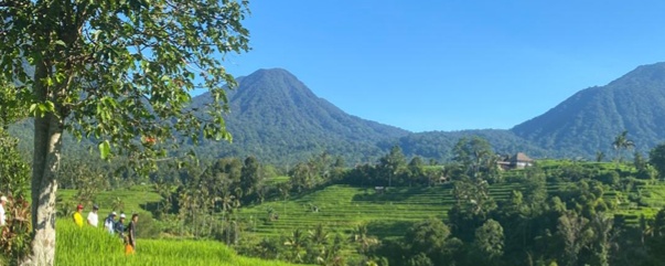 Bali Package Tour 7 Days