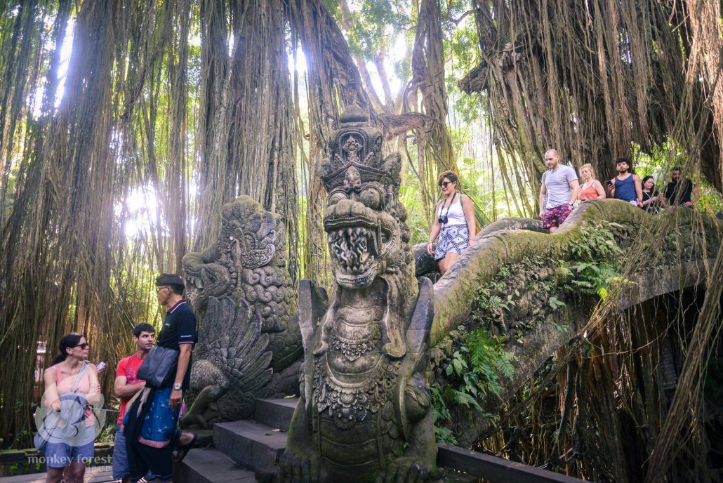Monkey Forest