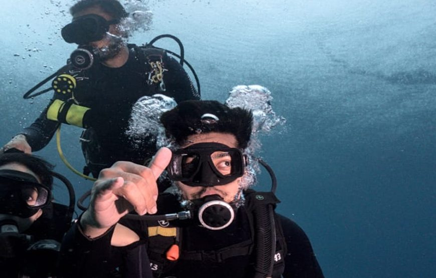 Nusa Penida Diving photo 2