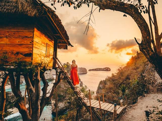 Raja Lima Tree House