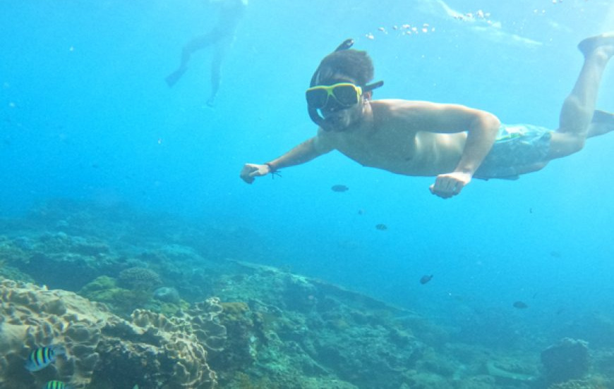 Snorkeling and West Nusa Penida Tour By Charter Speed Boat
