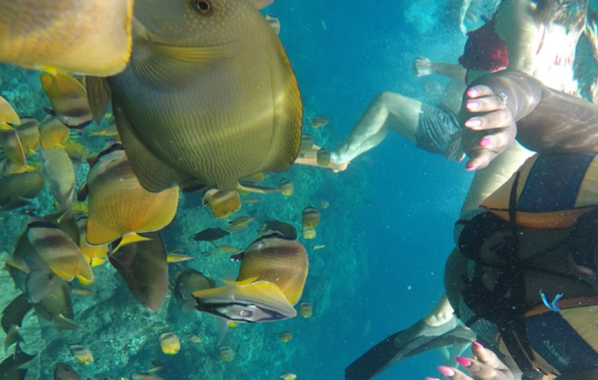 Snorkeling and West Nusa Penida Tour By Charter Speed Boat photo 3