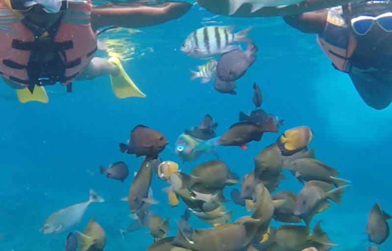 Snorkeling and West Nusa Penida Tour By Charter Speed Boat photo 5