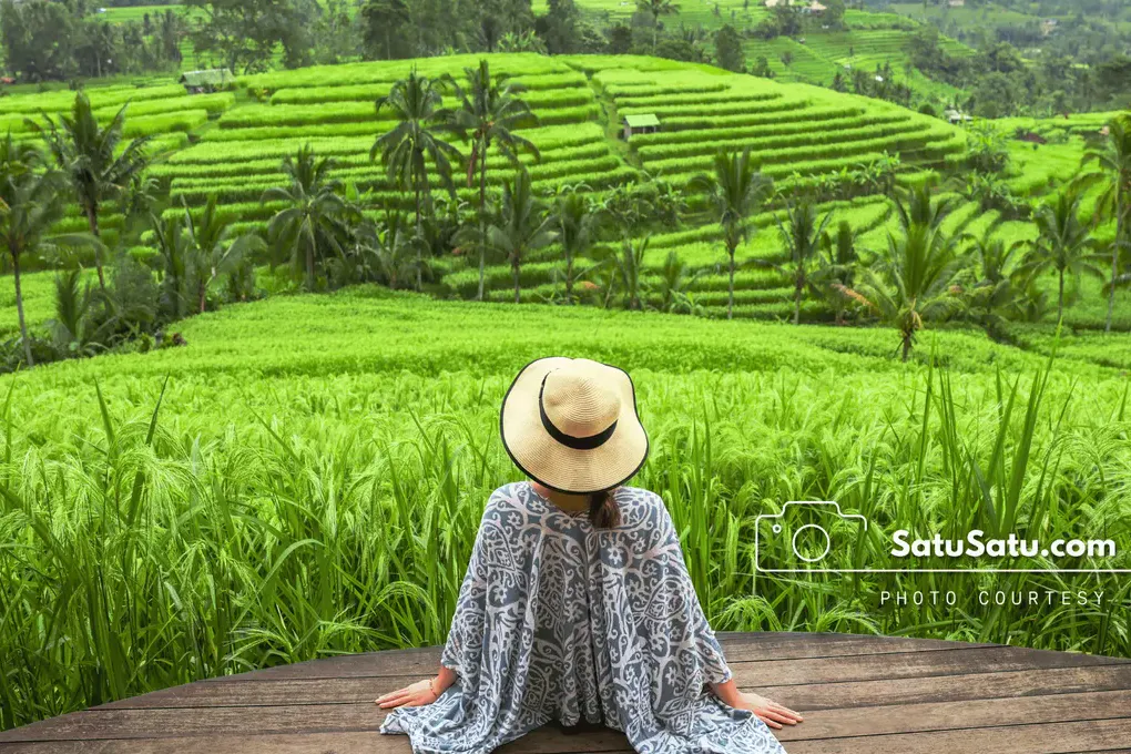 Rice Terrace Trekking Jatiluwih photo 3