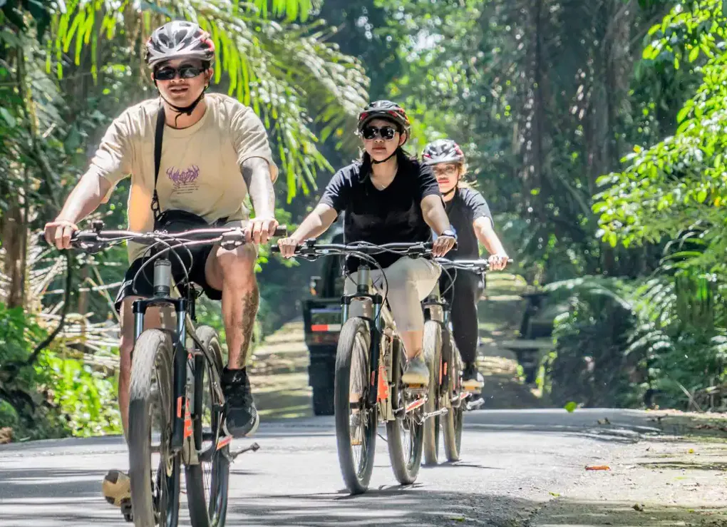 Alasan Adventure Cycling photo 2