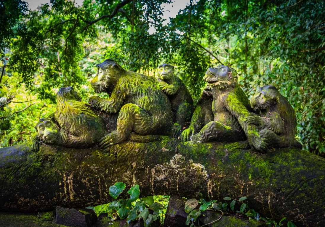 Monkey Forest Entry Ticket Transfer Included