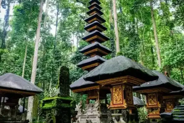 Monkey Forest Sangeh photo 2