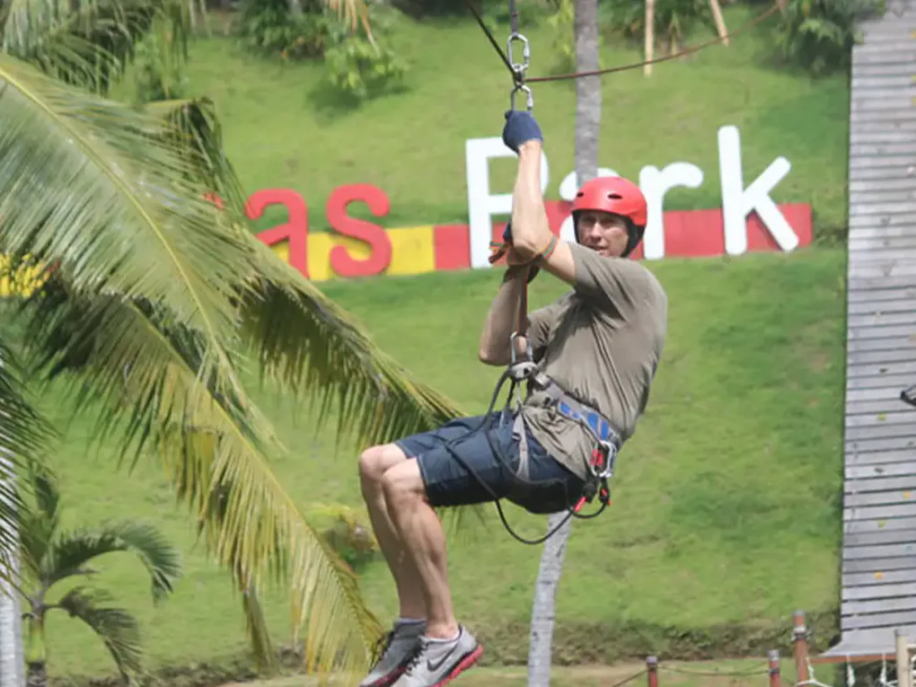 Flying Fox Only (Exclude Admission)