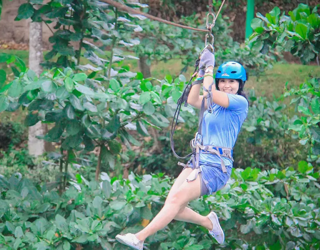 Flying Fox Only (Exclude Admission) photo 2