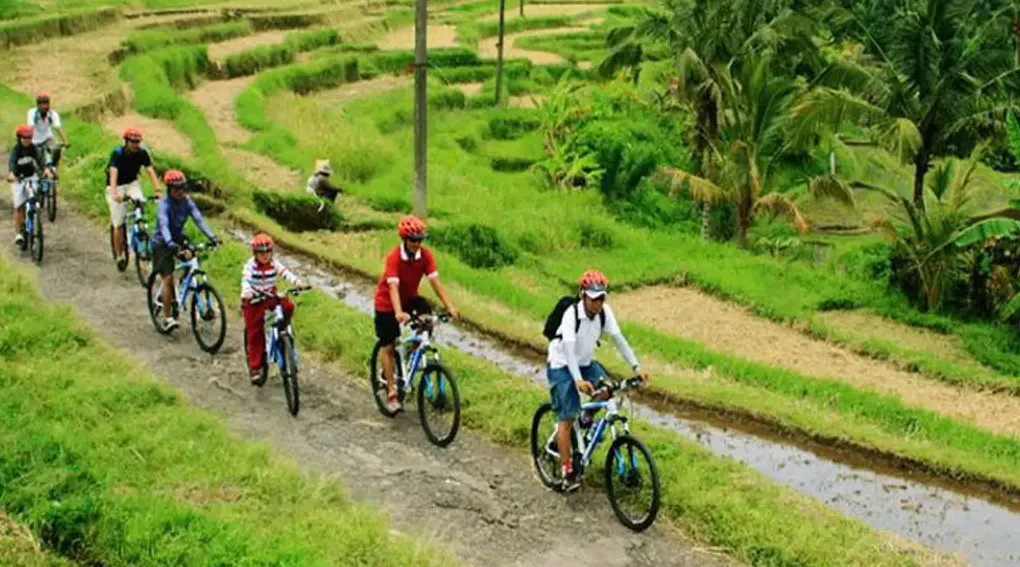 Mt. Batur Sunrise Jeep Experience & Cycling Tour by Bali Volcano Jeep photo 4