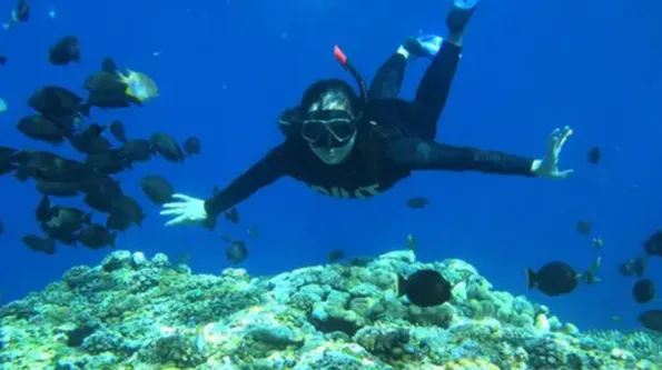 Nusa Penida : Sharing Snorkeling Adventure in Nusa Penida to 4 Spots photo 2