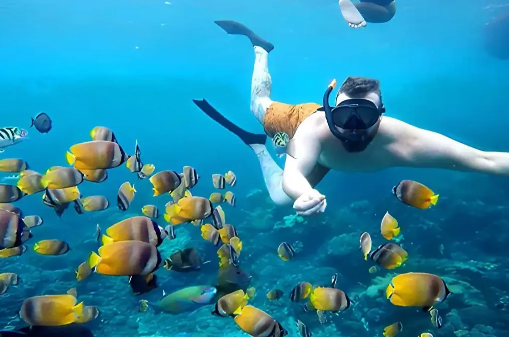 Nusa Penida : Sharing Snorkeling Adventure in Nusa Penida to 4 Spots photo 3