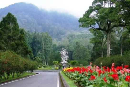 Kebun Raya Bali