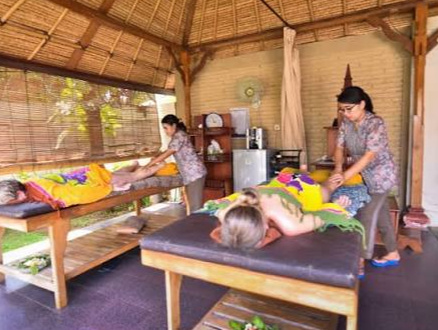 Aneka Lovina Villas & Spa Bali photo 4