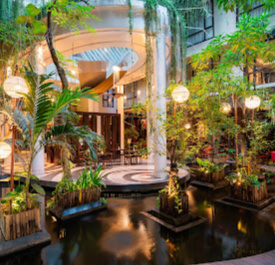 Swiss-Belhotel Rainforest
