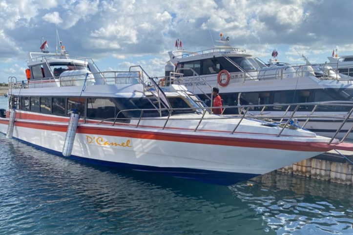 D'Camel Fast Boat photo 3