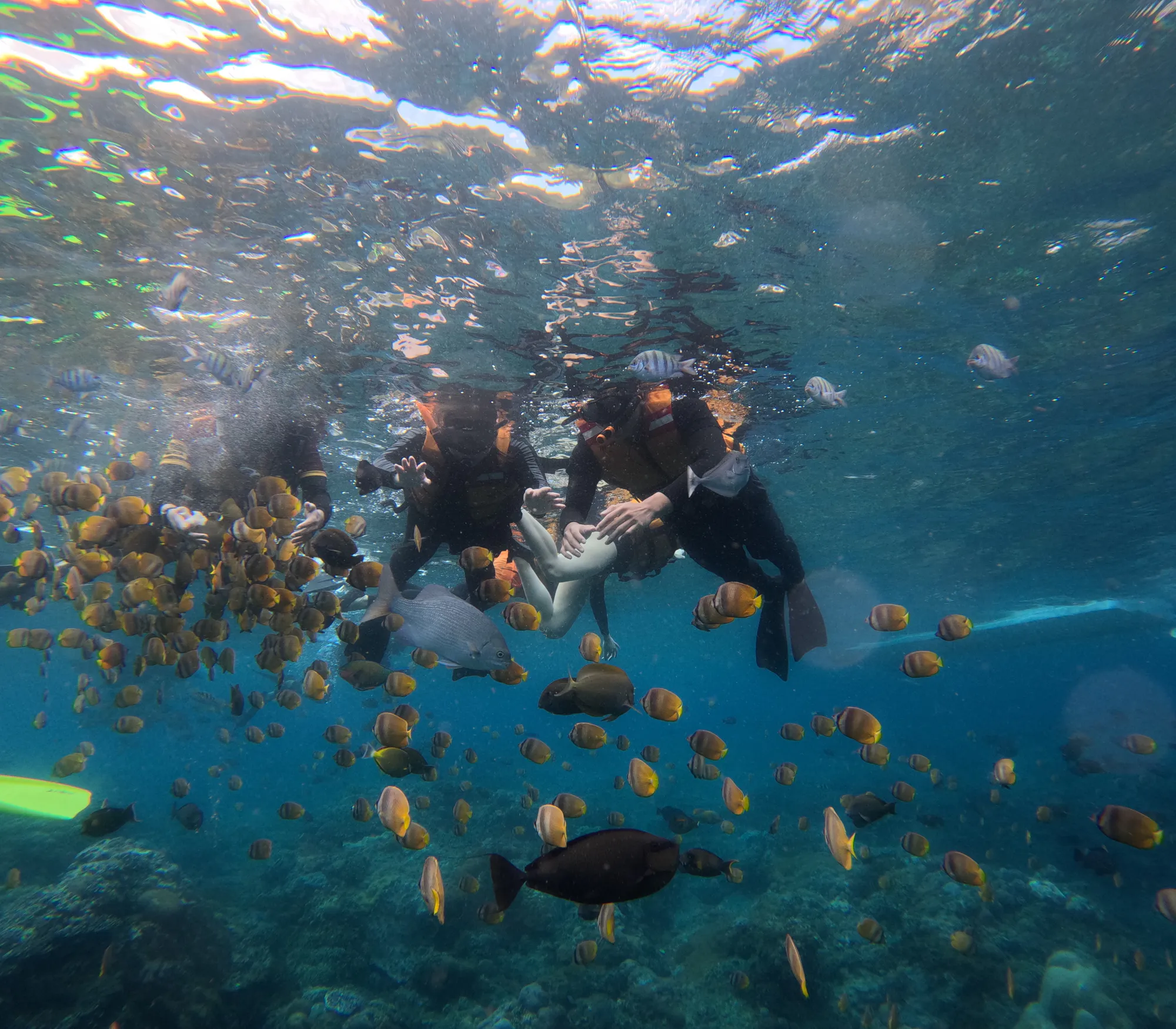 Nusa Penida Day Trip Snorkelling Sharing
