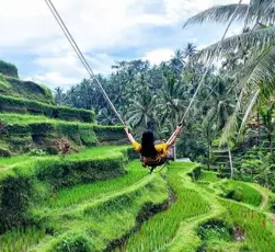 Bali Jeep Sunrise Tour photo 3