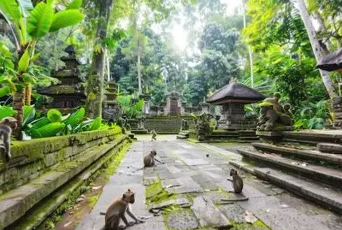 Bali Jeep Sunrise Tour photo 4